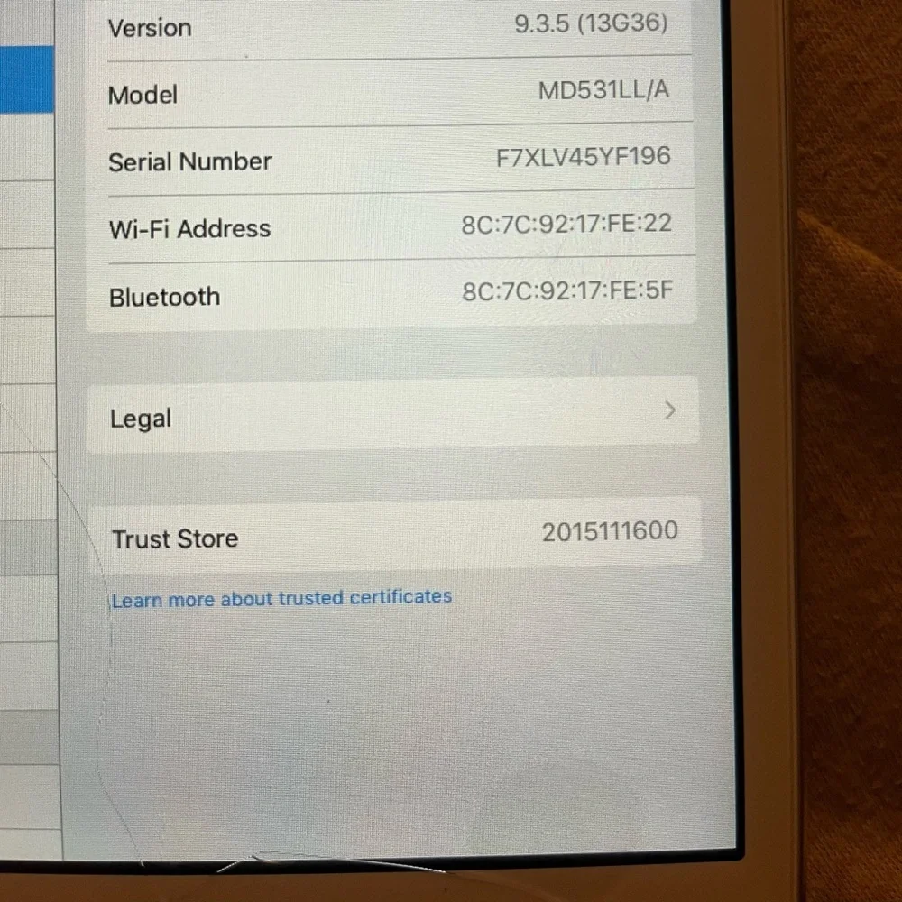 iPad mini